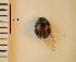  ( - ARVAQ-261-CA)  @11 [ ] CC BY-NC 4.0 (2025) Unspecified INIBIOMA