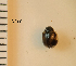  ( - ARVAQ-560-CA)  @11 [ ] CC BY-NC 4.0 (2025) Unspecified INIBIOMA