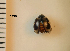  ( - ARVAQ-594-CA)  @11 [ ] CC BY-NC 4.0 (2025) Unspecified INIBIOMA