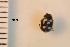  ( - ARVAQ-905-CG)  @11 [ ] CC BY-NC 4.0 (2025) Unspecified INIBIOMA