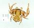 ( - gvc10317-1L)  @12 [ ] Copyright (2004) Unspecified Unspecified