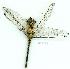  ( - gvc11291-1L)  @12 [ ] Copyright (2004) Unspecified Unspecified