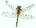  ( - gvc11371-1L)  @14 [ ] Copyright (2004) Unspecified Unspecified