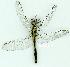  ( - gvc11685-1L)  @13 [ ] Copyright (2004) Unspecified Unspecified