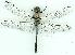  ( - gvc11943-1L)  @14 [ ] Copyright (2004) Unspecified Unspecified