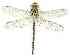  ( - gvc3332-1L)  @12 [ ] Copyright (2004) Unspecified Unspecified
