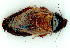  ( - gvc9813-1L)  @13 [ ] Copyright (2004) Unspecified Unspecified