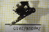  ( - Zap026)  @11 [ ] CreativeCommons  Attribution Non-Commercial Share-Alike (2022) Unspecified University of Lodz