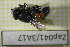  ( - Zap041)  @11 [ ] CreativeCommons  Attribution Non-Commercial Share-Alike (2022) Unspecified University of Lodz