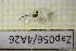  ( - Zap056)  @11 [ ] CreativeCommons  Attribution Non-Commercial Share-Alike (2022) Unspecified University of Lodz