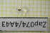  (Aprionus hugini - Zap074)  @11 [ ] CreativeCommons  Attribution Non-Commercial Share-Alike (2022) Unspecified University of Lodz