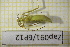  ( - Zap091)  @11 [ ] CreativeCommons  Attribution Non-Commercial Share-Alike (2022) Unspecified University of Lodz