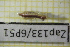  ( - Zap133)  @11 [ ] CreativeCommons  Attribution Non-Commercial Share-Alike (2022) Unspecified University of Lodz