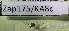  ( - Zap175)  @11 [ ] Unspecified (default): All Rights Reserved  Unspecified Unspecified