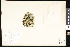  ( - CCDB-23956-B07)  @11 [ ] CreativeCommons - Attribution (2015) Department of Agriculture Agriculture and Agri-Food Canada National Collection of Vascular Plants (DAO
