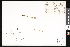  (Botrychium tenebrosum - CCDB-23956-D06)  @11 [ ] CreativeCommons - Attribution (2015) Department of Agriculture Agriculture and Agri-Food Canada National Collection of Vascular Plants (DAO