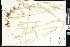  ( - CCDB-23956-H11)  @11 [ ] CreativeCommons - Attribution (2015) Department of Agriculture Agriculture and Agri-Food Canada National Collection of Vascular Plants (DAO