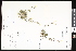  ( - CCDB-23957-F10)  @11 [ ] CreativeCommons - Attribution (2015) Department of Agriculture Agriculture and Agri-Food Canada National Collection of Vascular Plants (DAO