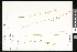  ( - CCDB-23957-G06)  @11 [ ] CreativeCommons - Attribution (2015) Department of Agriculture Agriculture and Agri-Food Canada National Collection of Vascular Plants (DAO