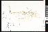  ( - CCDB-23957-G07)  @11 [ ] CreativeCommons - Attribution (2015) Department of Agriculture Agriculture and Agri-Food Canada National Collection of Vascular Plants (DAO