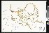  ( - CCDB-24799-G10)  @11 [ ] CreativeCommons - Attribution (2015) Department of Agriculture Agriculture and Agri-Food Canada National Collection of Vascular Plants (DAO