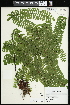  ( - CCDB-23395-D06)  @11 [ ] CreativeCommons - Attribution (2015) Agriculture and Agri-Food Canada Agriculture and Agri-Food Canada