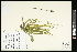  ( - CCDB-23395-E10)  @11 [ ] CreativeCommons - Attribution (2015) Agriculture and Agri-Food Canada Agriculture and Agri-Food Canada