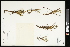  ( - CCDB-23395-F03)  @11 [ ] CreativeCommons - Attribution (2015) Agriculture and Agri-Food Canada Agriculture and Agri-Food Canada