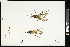  ( - CCDB-23395-G02)  @11 [ ] CreativeCommons - Attribution (2015) Agriculture and Agri-Food Canada Agriculture and Agri-Food Canada