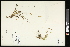  ( - CCDB-23395-G03)  @11 [ ] CreativeCommons - Attribution (2015) Agriculture and Agri-Food Canada Agriculture and Agri-Food Canada