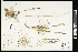  ( - CCDB-23396-A05)  @11 [ ] CreativeCommons - Attribution (2015) Agriculture and Agri-Food Canada Agriculture and Agri-Food Canada