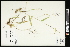  ( - CCDB-23396-A07)  @11 [ ] CreativeCommons - Attribution (2015) Agriculture and Agri-Food Canada Agriculture and Agri-Food Canada