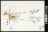  ( - CCDB-23396-B05)  @11 [ ] CreativeCommons - Attribution (2015) Agriculture and Agri-Food Canada Agriculture and Agri-Food Canada