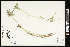  ( - CCDB-23396-B07)  @11 [ ] CreativeCommons - Attribution (2015) Agriculture and Agri-Food Canada Agriculture and Agri-Food Canada