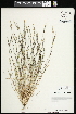  ( - CCDB-23396-B09)  @11 [ ] CreativeCommons - Attribution (2015) Agriculture and Agri-Food Canada Agriculture and Agri-Food Canada