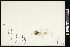  ( - CCDB-23396-B10)  @11 [ ] CreativeCommons - Attribution (2015) Agriculture and Agri-Food Canada Agriculture and Agri-Food Canada