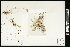  ( - CCDB-23396-B12)  @11 [ ] CreativeCommons - Attribution (2015) Agriculture and Agri-Food Canada Agriculture and Agri-Food Canada