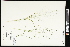  ( - CCDB-23396-E04)  @11 [ ] CreativeCommons - Attribution (2015) Agriculture and Agri-Food Canada Agriculture and Agri-Food Canada