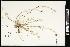  ( - CCDB-23396-E12)  @11 [ ] CreativeCommons - Attribution (2015) Agriculture and Agri-Food Canada Agriculture and Agri-Food Canada