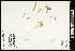  ( - CCDB-23396-H08)  @11 [ ] CreativeCommons - Attribution (2015) Agriculture and Agri-Food Canada Agriculture and Agri-Food Canada