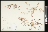  ( - CCDB-23955-A03)  @11 [ ] CreativeCommons - Attribution (2015) Agriculture and Agri-Food Canada Agriculture and Agri-Food Canada