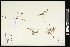  ( - CCDB-23955-C03)  @11 [ ] CreativeCommons - Attribution (2015) Agriculture and Agri-Food Canada Agriculture and Agri-Food Canada