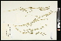  ( - CCDB-23955-C07)  @11 [ ] CreativeCommons - Attribution (2015) Agriculture and Agri-Food Canada Agriculture and Agri-Food Canada