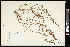  ( - CCDB-23955-D03)  @11 [ ] CreativeCommons - Attribution (2015) Agriculture and Agri-Food Canada Agriculture and Agri-Food Canada