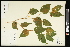  ( - CCDB-23955-D12)  @11 [ ] CreativeCommons - Attribution (2015) Agriculture and Agri-Food Canada Agriculture and Agri-Food Canada