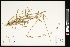  ( - CCDB-23955-E11)  @11 [ ] CreativeCommons - Attribution (2015) Agriculture and Agri-Food Canada Agriculture and Agri-Food Canada