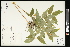  ( - CCDB-23955-E12)  @11 [ ] CreativeCommons - Attribution (2015) Agriculture and Agri-Food Canada Agriculture and Agri-Food Canada