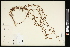  ( - CCDB-23955-F03)  @11 [ ] CreativeCommons - Attribution (2015) Agriculture and Agri-Food Canada Agriculture and Agri-Food Canada