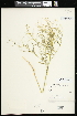  ( - CCDB-23955-G07)  @11 [ ] CreativeCommons - Attribution (2015) Agriculture and Agri-Food Canada Agriculture and Agri-Food Canada