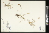  ( - CCDB-23967-A09)  @11 [ ] CreativeCommons - Attribution (2015) Agriculture and Agri-Food Canada Agriculture and Agri-Food Canada